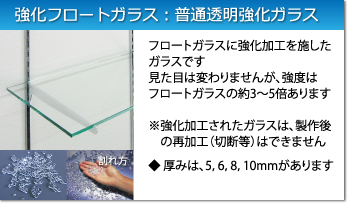 強化フロートガラス：フロートガラスの約3～5倍の強度です